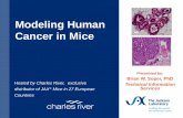 Modeling Human Cancer in Mice 40x 10x · Modeling Human Cancer in Mice Xenograft Models Xenograft Host Selection Spontaneous and Inducible Models Online Data and Resources JAX ...