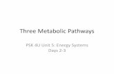 Three Metabolic Pathwayspetrinpe.weebly.com/uploads/6/2/5/6/6256684/days_2-3_the_three... · The production of ATP involves three energy pathways, each producing ATP at a distinct