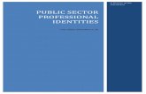 Public sector professional identities - Open …oro.open.ac.uk/.../Public_service_professional...literature_2012.pdf · PUBLIC SECTOR PROFESSIONAL IDENTITIES THE OPEN UNIVERSITY UK