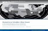 America Under the Gun - Center for American Progress · America Under the Gun A 50-State Analysis of Gun Violence and Its Link to Weak State Gun Laws Arkadi Gerney, Chelsea Parsons,