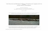 The Physical and Biological Effects of Engineered Logjams ... ELJ Monitoring Final... · The Physical and Biological Effects of Engineered Logjams (ELJs) in ... the project reach