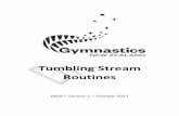 Tumbling Stream Routines - Gymnastics NZ · Gymnasts may compete in Junior 2, 3 or 4 skill divisions or Senior 2, ... mance Performance Pathway Participation /Community Sport International
