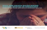 WHY ARE DEATH RATES RISING AMONG WHITES IN MISSOURI? · WHY ARE DEATH RATES RISING AMONG WHITES IN MISSOURI? 3 ... These populations are overwhelmingly white and have experienced