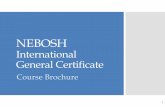 NEBOSH Overview The NEBOSH International General Certificate (IGC) is a global Safety Qualification that covers the principles relating to health and safety, identification and control