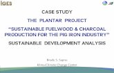 CASE STUDY THE PLANTAR PROJECT … · case study the plantar project “sustainable fuelwood & charcoal production for the pig iron industry” sustainable development analysis brody