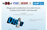 Higgs pair production in vector boson fusion at the …pcteserver.mi.infn.it/~nnpdf/talks/rojo-dis2017-HHvbf.pdf · Higgs pair production in vector boson fusion at the LHC and ...