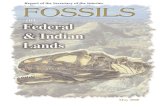 Assessment of Fossil Management on Indian Lands of Fossil... · Assessment of Fossil Management on Federal & ... Fossils on Indian lands with commercial value are managed as ... system