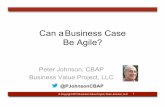 Can a Business Case be Agile? pdf - IIBA Cincinnati · Can a Business Case Be Agile? Peter Johnson, CBAP Business Value Project, LLC 1 ... Agile Business Case Adds Clarity Governance