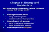 Chapter 8: Energy and Metabolism - auburn.edu · Chapter 8: Energy and Metabolism Why do organisms need energy? How do organisms manage their energy needs? ... also called conservation