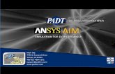PADT INC 7755 S. Research Drive AIM 16.2... · PADT INC 7755 S. Research Drive Tempe, AZ 85284 ... breadth and depth of available capabilities ... and DC Electric •ANSYS SCDM and