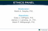 ETHICS PANEL - nyfederation.org · Fran is directed to design inspection and construction scaffolding for a cloverleaf ramp with limited ... Albert is a forensic engineer.