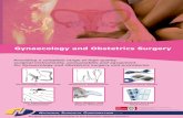 Gynaecology and Obstetrics Surgery · Gynaecology Instruments Obstetrics Instruments ... Obstetric Specialty ... This table highlights some of our key Gynaecology and Obstetrics products