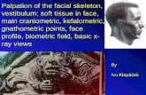 Palpation of the facial skeleton, vestibulum; soft tissue in face, main craniometric, kefalometric, gnathometric points, face …anat.lf1.cuni.cz/souhrny/ofa_a3.pdf · main craniometric,