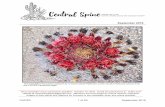 1 SEPT FINAL - Central Arizona Cactus · September 2016 CACSS 1 of 20 September 2016 Next newsletter issue submission deadline: October 10, 2016. Email all submissions to: Editor