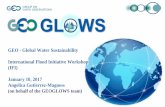 GEO - Global Water Sustainability International Flood ...· AmeriGEOSS Initiative & Regional Coordination
