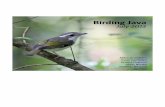 Birding Western Java (M. Grundsten, Sweden) - … · hired a Park Ranger the last morning to show us the ... Ended up in out-of-this-world traffic jams south of Ciawi ... Birding