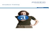 Amadeus Training - Amadeus Global Website · Amadeus Training –November 2011 ... System) or airline CRS (Central Reservation System) in a travel agency. Participants may be relatively