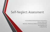 Self-Neglect: Assessment - hse.ie · concerns and managing interventions ... relate t people in the over 65 age category ... •An objective assessment measurement tool has potential