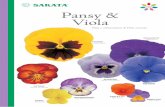 Pansy & Viola - FARMERfarmer.hu/PDFkatalogusok/Productsheet Viola_12p_2014_screen5.pdf · Sakata, the worlds first breeder of F1 Pansy hybrid, offers all this and more in our complete