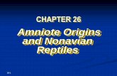 Amniote Origins and Nonavian Reptiles - Unicamdocenti.unicam.it/tmp/2604.pdf · Nonavian reptiles expand the thoracic cavity thus ... Jaws of nonavian reptile ... versatile circulatory