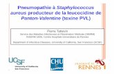 Pneumopathie à Staphylococcus aureus producteur de … · Les Staphylococcus aureus producteurs de la toxine PVL (leucocidine de Panton-Valentine) sont : 1. le plus souvent résistants