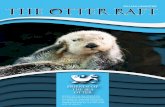 Disney Vacation Giveaway! - Home || Friends of the … · the Disneyland Raffle. ... Disney Vacation Giveaway! P. 4 – As a member of Friends of the Sea Otter, ... Amazon Smile Amazon