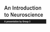 to Neuroscience An Introduction - Pitzer Collegepzacad.pitzer.edu/~hfairchi/courses/Spring2014/Psych10/Team 3... · Neuroscience Overview Neuroscience is one of the largest growing