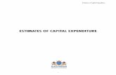 ESTIMATES OF CAPITAL EXPENDITURE - National … budget/2012/4. Estimates... · Estimates of Capital Expenditure ... considered thoroughly and taken difÀ cult decisions to address