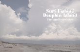 Surf Fishing Dauphin Island - skypig Fishing Dauphin Island The Unofficial Guide. Surf fishing on Dauphin Island can be challenging and rewarding. Diversity of fish and diversity of
