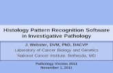 Evaluation and Integration of Histology Pattern ...digitalpathologyassociation.org/_data/files/Webster_Joshua.pdf · • Genie pattern recognition software • Manual image segmentation