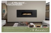 Fireplace System - WoodStovePro.com · vented heater or fireplace system per Btu of heat in your ... via the PVC intake pipe. (B) Inside the fireplace the three-stage burner, ...