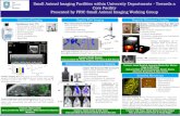 Small Animal Imaging Poster - University of Sheffield · Doppler Flow Imaging Magnetic Resonance Imaging ... tumour with measurements and blood flow with VEGF labelled ... Small Animal