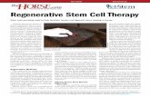Fact Sheet Regenerative Stem Cell Therapypioneerequine.com/pdf/stemcell.pdf · stem cell therapy. ... and stem cell treatment does not necessarily speed this healing process. The