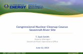 Congressional Nuclear Cleanup Caucus Savannah … Clean Up... · Congressional Nuclear Cleanup Caucus Savannah River Site ... assumed responsibility for SRS management and operations.