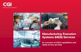 Manufacturing Execution Systems (MES) Services · A manufacturing plant is a complex and fast-paced environment, and running ... to transform your MES environment into a powerful