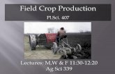 Field Crop Production - University of Idahowebpages.uidaho.edu/jbrown/plsc407/images/PP/PlSc-407-Summary-1… · mango, apple, nutmeg, coconut, mung bean, ... Soil organic matter