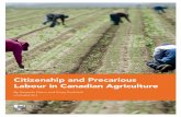 Citizenship and Precarious Labour in Canadian Agriculture · 4 CITIZENSHIP AND PRECARIOUS LABOUR IN CANADIAN AGRICULTURE ... Our research included questionnaires with 200 farmworkers;