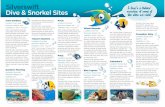 Silverswift Dive & Snorkel Sites Thetford CORAL SEA … · Manta rays, devil rays and eagle rays. Gordon's Mooring Location: Flynn Reef Maximum Depth: 22m Visibility: 15m Site: Gordon's