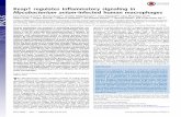 Keap1 regulates inflammatory signaling in Mycobacterium ... · Keap1 regulates inflammatory signaling in Mycobacterium avium-infected human macrophages ... Claire Louet a,b, ... binding