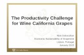 Prof Nick Dokoozlian THE PRODUCTIVITY … · The Productivity Challenge for Wine California Grapes Nick Dokoozlian Economic Sustainability of Grapevine Lisbon, Portugal January 2015