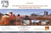 The Difficult Mineral Processing Issues with Processing ...· > Mineral Processing > RESOURCE PROJECTS