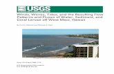 Winds, Waves, Tides, and the Resulting Flow Patterns … · Winds, Waves, Tides, and the Resulting Flow Patterns and Fluxes of Water, Sediment, and Coral Larvae off West Maui, Hawaii