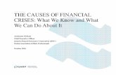THE CAUSES OF FINANCIAL CRISES What We … · THE CAUSES OF FINANCIAL CRISES: What We Know and What We Can Do About It ... These companies could make a great deal of money through