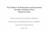 The Pattern of Protection and Economic Growth: Evidence ...siteresources.worldbank.org/.../515_Ann_Harrison.pdf · The Pattern of Protection and Economic Growth: Evidence from Chinese