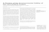 A Review of the Environmental Safety of the CP4 …ilsirf.org/wp-content/uploads/sites/5/2016/06/CP4-EPSPS-Monograph... · A Review of the Environmental Safety of the CP4 EPSPS Protein