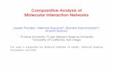 Comparative Analysis of Molecular Interaction Networks · Comparative Analysis of Molecular Interaction Networks ... Challenges in Computational Analysis: Thesis ... Frequency is