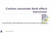 Carbon nanotube field effect transistor - tiiciiitm.comtiiciiitm.com/profanurag/STNE-2.1.pdf · Semiconductor Physics Carbon nanotube field effect transistor By Sushmita Dandeliyaa