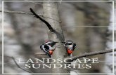 LANDSCAPE SUNDRIES - Trade | Kingsdown Nurseries€¦ · LANDSCAPE SUNDRIES Tree & Plant Protection ... Green Tree Shelters & Shelter ... they are normally stapled to a sturdy tree