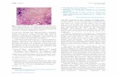Letters JAM ACAD D OCTOBER - COnnecting … · Department of Dermatology and Venereology, Otto-von-Guericke University, Magdeburg, Germany ... Thappa DM, Jeevankumar B. Cutaneous