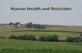 Human Health and Pesticides - Iowa State University Human Health and... · • Can occur when pesticides are stored improperly – Lungs ... • Consider both the risks and benefits.